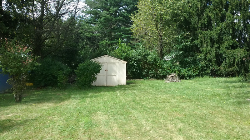 Illustration for article titled Dismantling the Shed